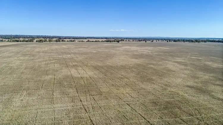 Fifth view of Homely rural property listing, 90R Mogriguy Road, Brocklehurst NSW 2830