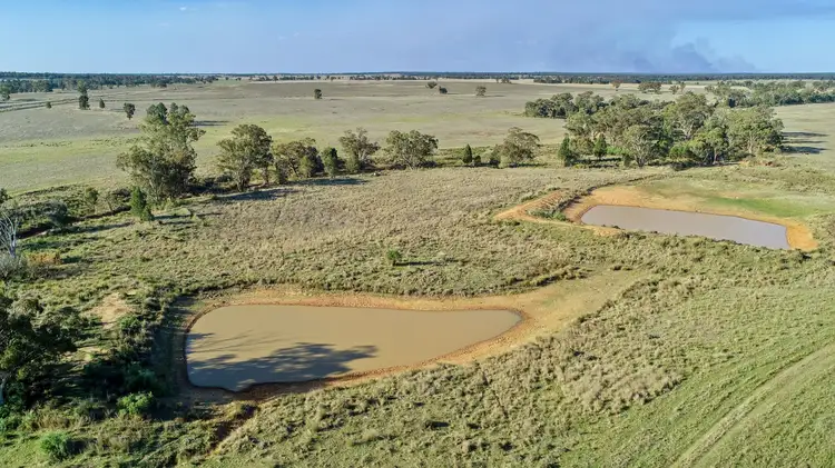 Sixth view of Homely rural property listing, 90R Mogriguy Road, Brocklehurst NSW 2830