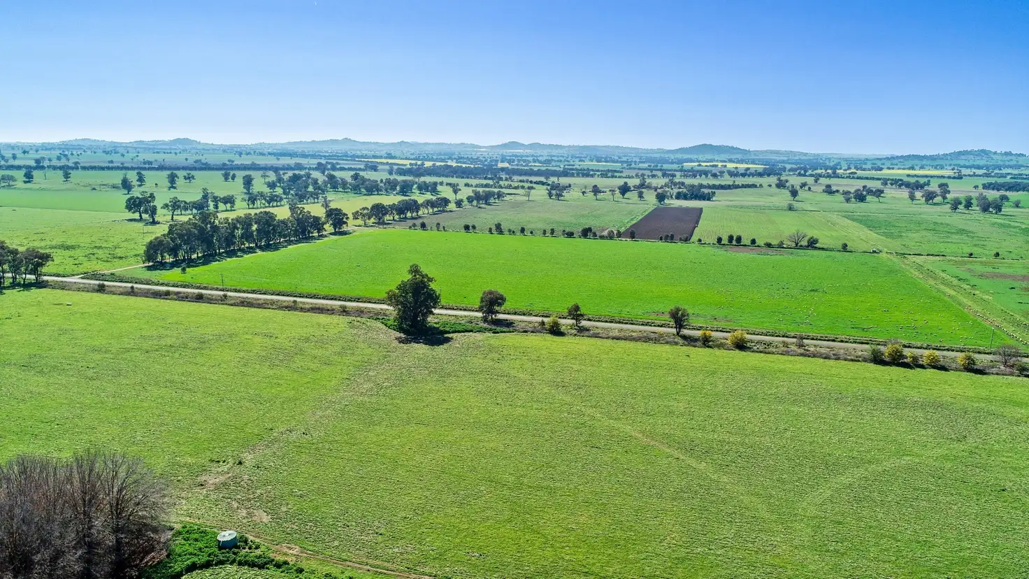 Main view of Homely rural property listing, 904 North Logan Road, Cowra NSW 2794