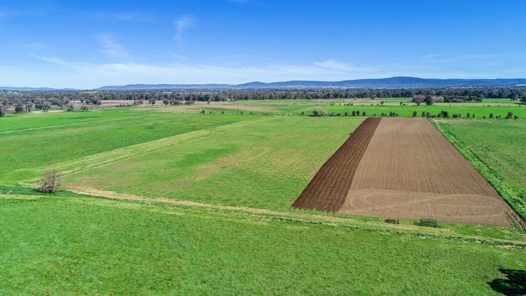 Second view of Homely rural property listing, 904 North Logan Road, Cowra NSW 2794