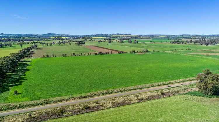 Third view of Homely rural property listing, 904 North Logan Road, Cowra NSW 2794