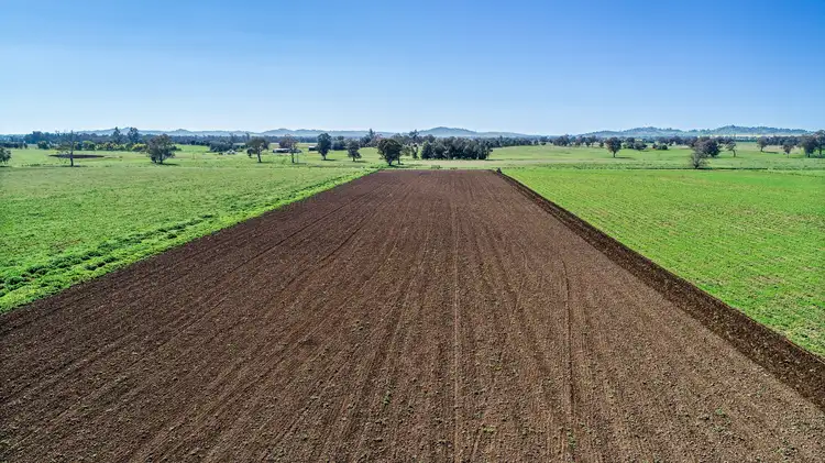 Fifth view of Homely rural property listing, 904 North Logan Road, Cowra NSW 2794