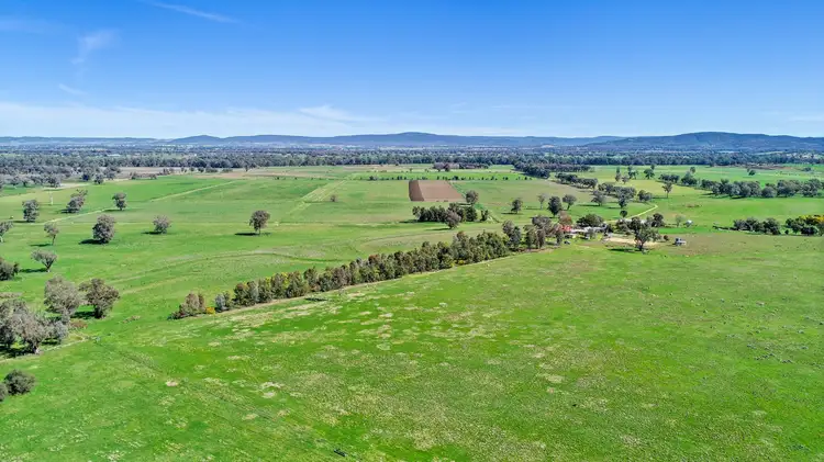 Sixth view of Homely rural property listing, 904 North Logan Road, Cowra NSW 2794