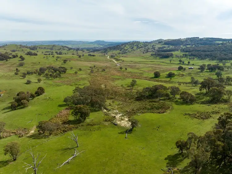 Third view of Homely rural property listing, 170 Black Andrews Road, Adjungbilly NSW 2727