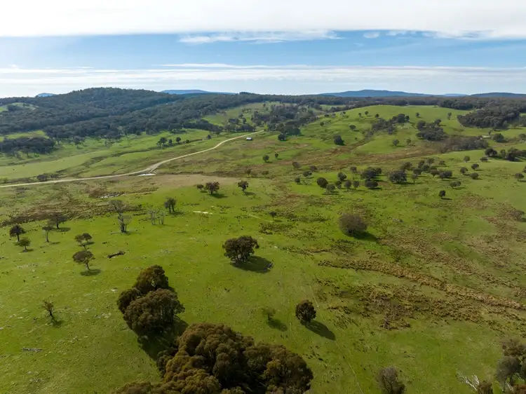 Fourth view of Homely rural property listing, 170 Black Andrews Road, Adjungbilly NSW 2727