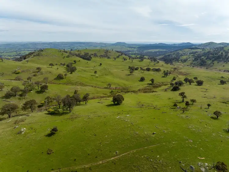 Fifth view of Homely rural property listing, 170 Black Andrews Road, Adjungbilly NSW 2727
