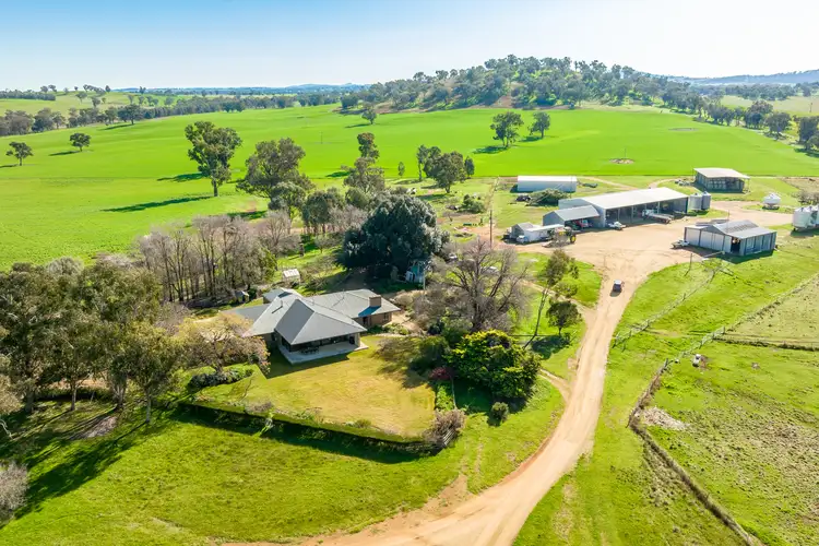 Main view of Homely rural property listing, DUNOON – Holbrook, Culcairn NSW 2660