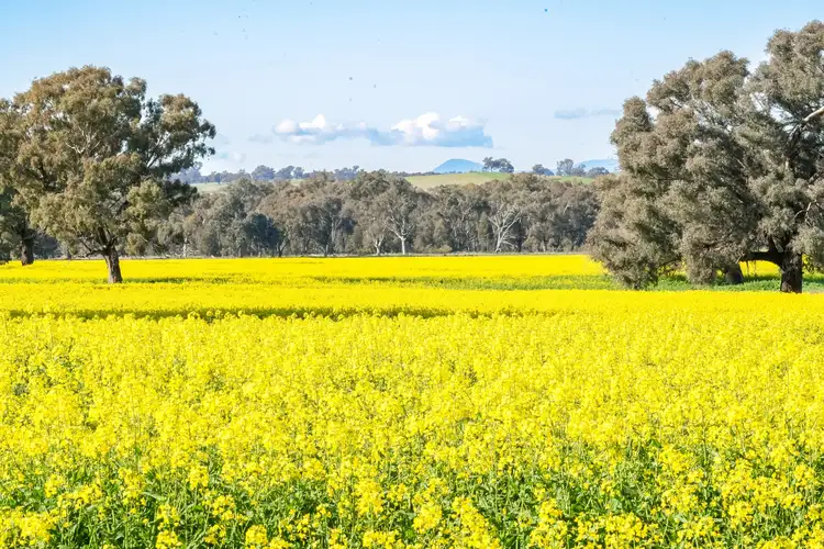 Fourth view of Homely rural property listing, DUNOON – Holbrook, Culcairn NSW 2660