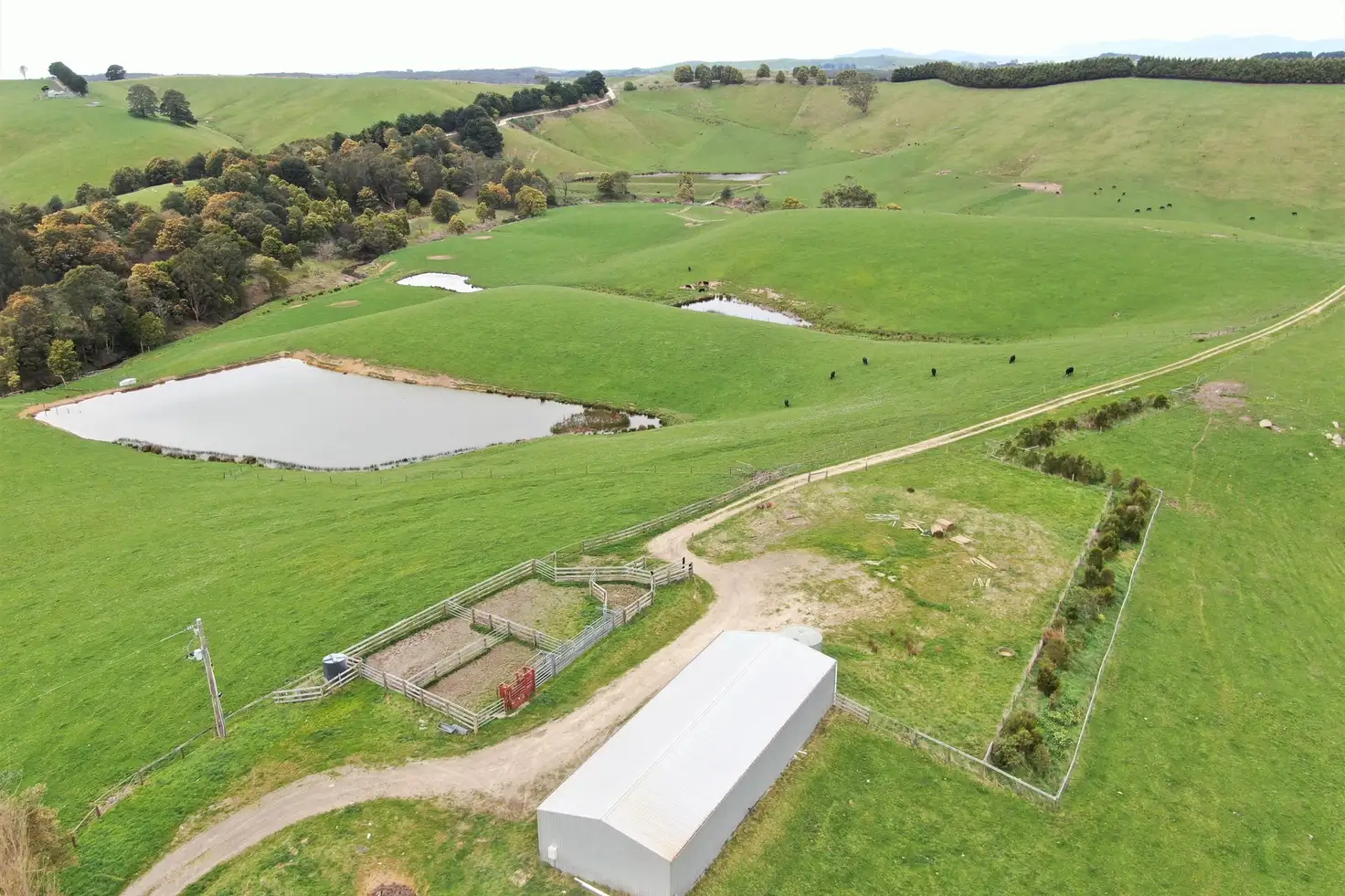Main view of Homely rural property listing, 375 Devils Pinch Road, Toora VIC 3962