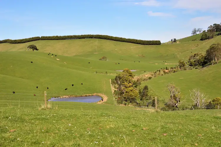 Second view of Homely rural property listing, 375 Devils Pinch Road, Toora VIC 3962