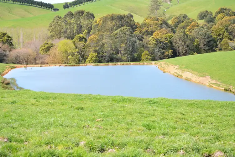 Fourth view of Homely rural property listing, 375 Devils Pinch Road, Toora VIC 3962