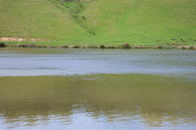 Seventh view of Homely rural property listing, 375 Devils Pinch Road, Toora VIC 3962