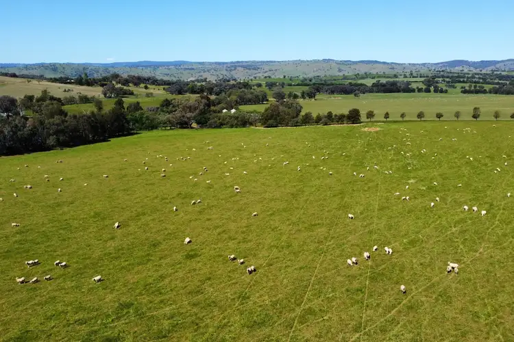 Third view of Homely rural property listing, 1368 Kangaroo Flat Road, Woodstock NSW 2793