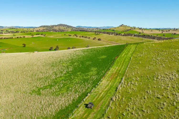 Fifth view of Homely rural property listing, 1368 Kangaroo Flat Road, Woodstock NSW 2793