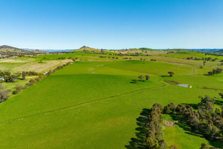 Seventh view of Homely rural property listing, 1368 Kangaroo Flat Road, Woodstock NSW 2793