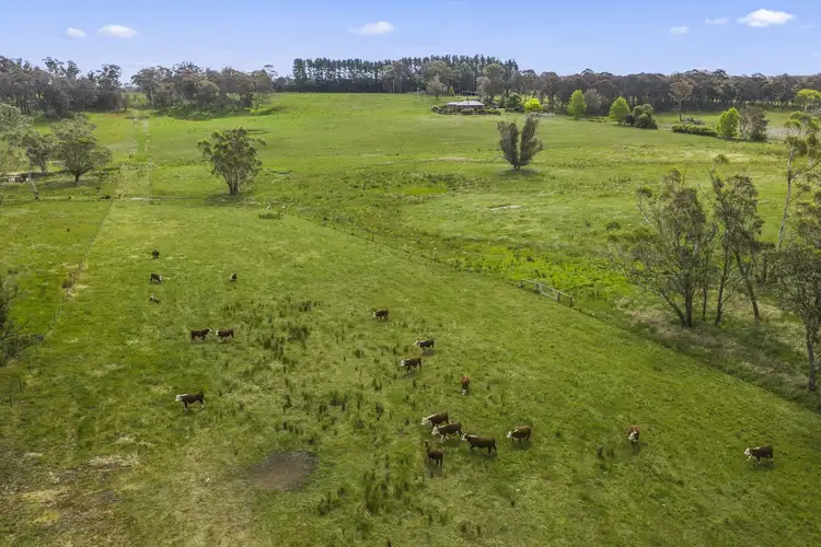 Sixth view of Homely rural property listing, 1261 Wombeyan Caves Road, High Range NSW 2575