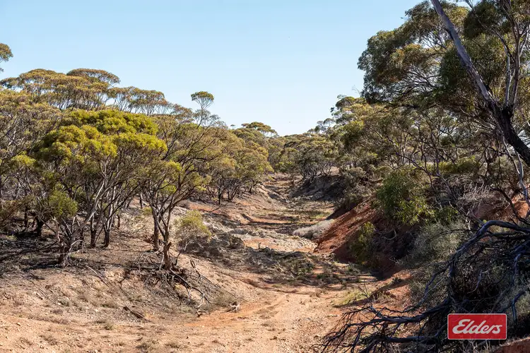 Third view of Homely rural property listing, Sec 288 Stock Route Road, Sutherlands SA 5374