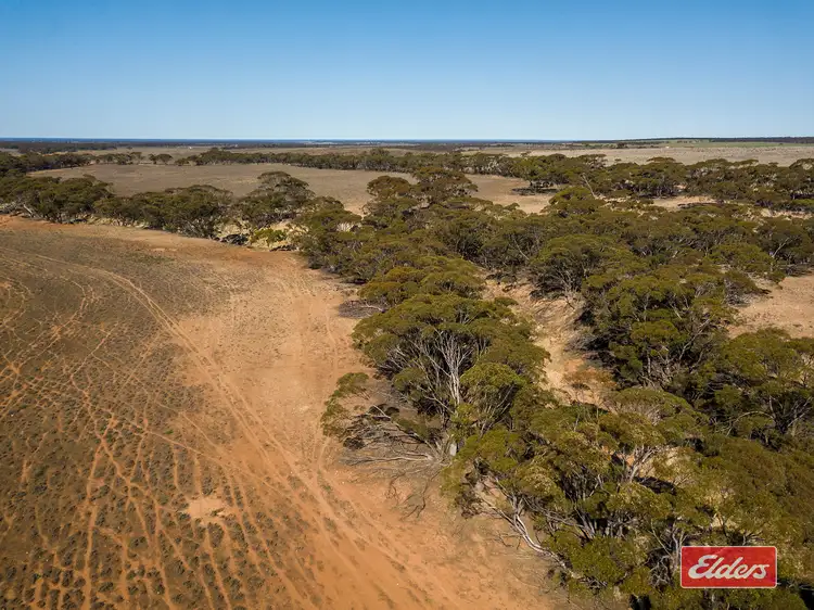 Sixth view of Homely rural property listing, Sec 288 Stock Route Road, Sutherlands SA 5374