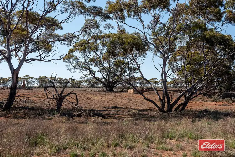 Seventh view of Homely rural property listing, Sec 288 Stock Route Road, Sutherlands SA 5374
