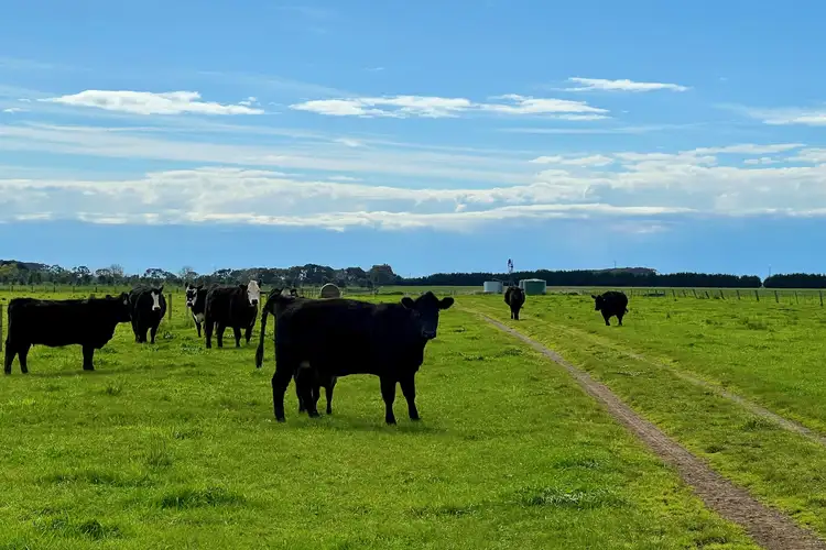 Third view of Homely rural property listing, Castle Carey Road, Kolora VIC 3265