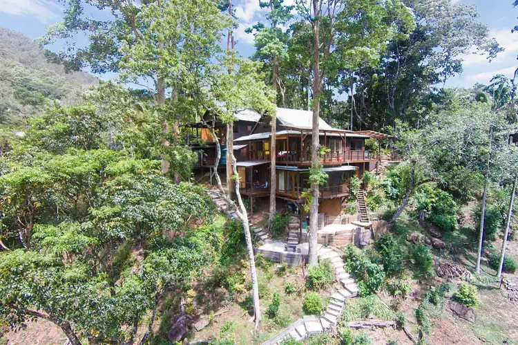 Second view of Homely house listing, 246 Upper Wilsons Creek Rd, Upper Wilsons Creek NSW 2482