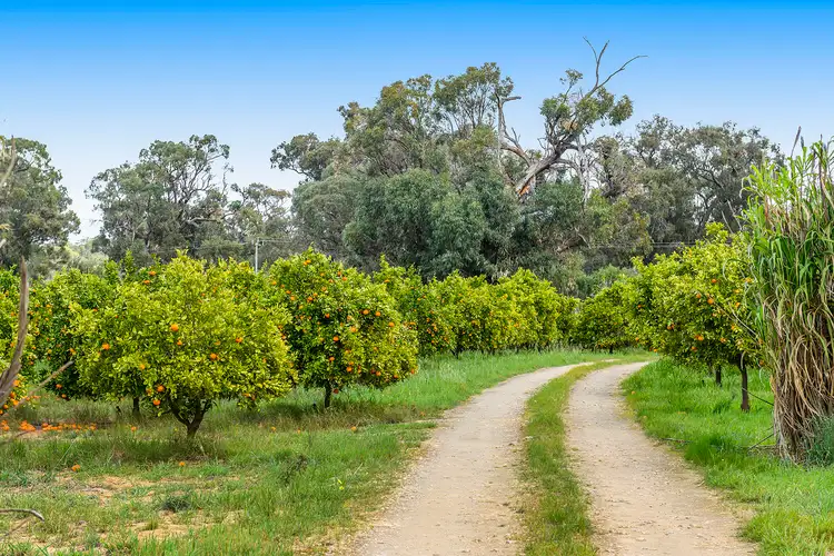 Second view of Homely rural property listing, 244 Rangeview Drive, Wanerie WA 6503