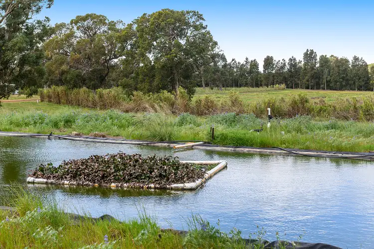 Fourth view of Homely rural property listing, 244 Rangeview Drive, Wanerie WA 6503