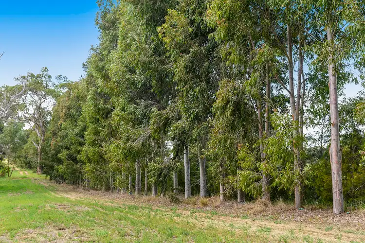 Sixth view of Homely rural property listing, 244 Rangeview Drive, Wanerie WA 6503