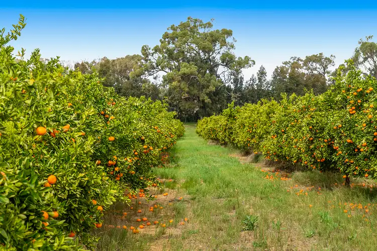 Seventh view of Homely rural property listing, 244 Rangeview Drive, Wanerie WA 6503