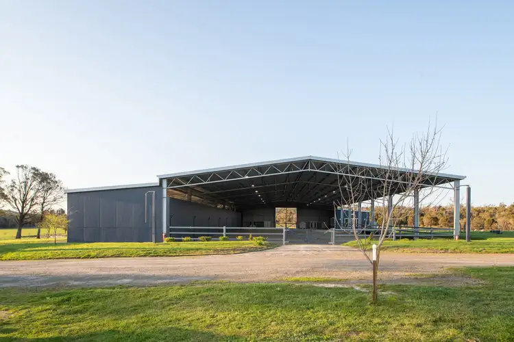 Fourth view of Homely rural property listing, 161 Back Creek Road, Pipers River TAS 7252