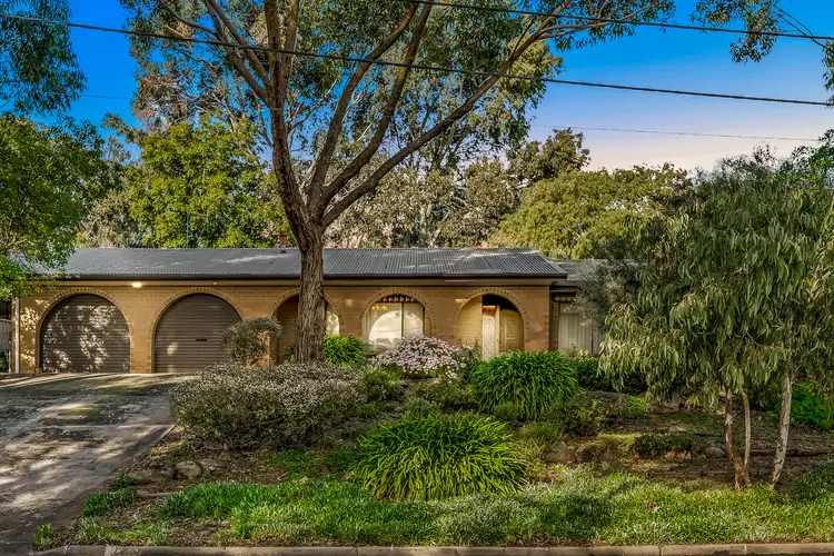 11 Warramunda Crescent, Banksia Park SA 5091