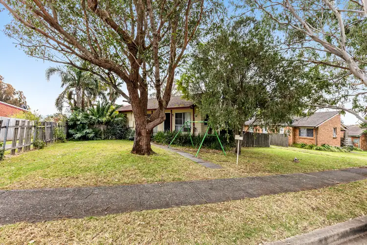 Second view of Homely house listing, 14 Callistemon Place, Barrack Heights NSW 2528