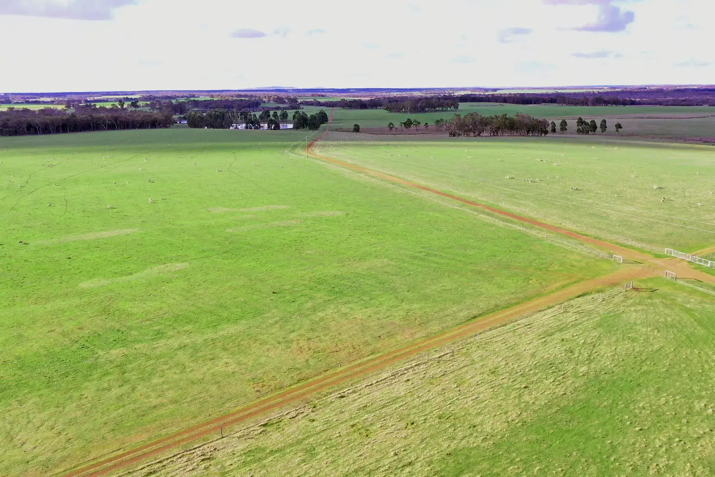 Main view of Homely rural property listing, 938 Sidcup Road, Perillup WA 6324