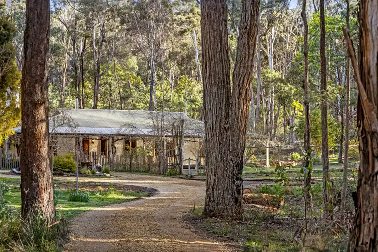 45 Mary Road, Wheatsheaf VIC 3461