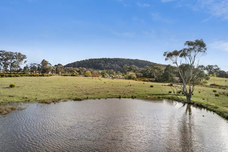 219 Leslies Road, Mount Franklin VIC 3461