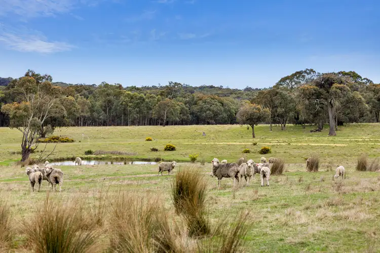 Third view of Homely rural property listing, 219 Leslies Road, Mount Franklin VIC 3461