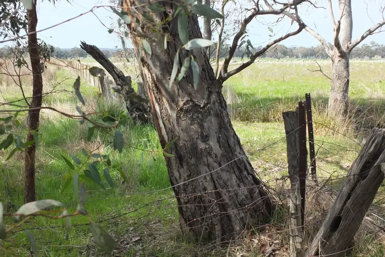 Second view of Homely rural property listing, 25LPP3983 Percydale Road, Percydale VIC 3478