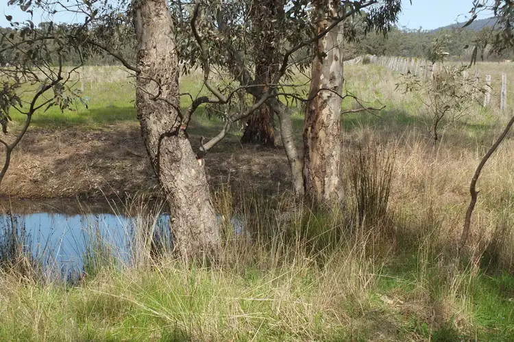 Fifth view of Homely rural property listing, 25LPP3983 Percydale Road, Percydale VIC 3478