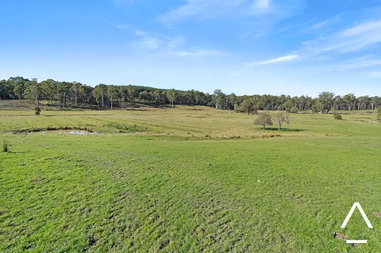 Fifth view of Homely rural property listing, 259 South Winkleigh Road, Winkleigh TAS 7275