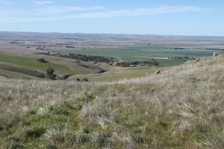Main view of Homely rural property listing, Coothadie Road, Mannanarie SA 5422