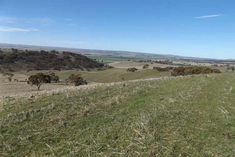 Second view of Homely rural property listing, Coothadie Road, Mannanarie SA 5422
