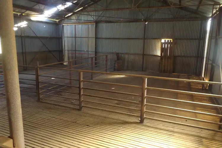 Third view of Homely rural property listing, Coothadie Road, Mannanarie SA 5422