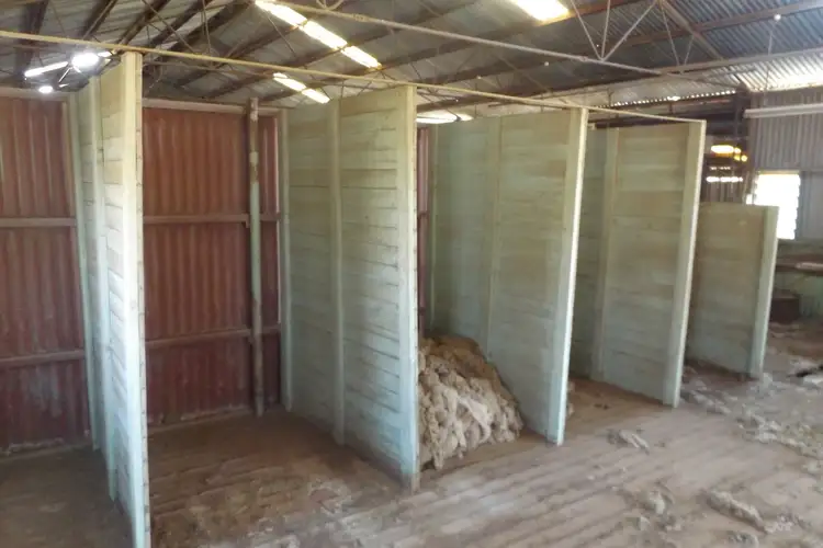 Fourth view of Homely rural property listing, Coothadie Road, Mannanarie SA 5422