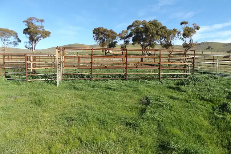 Sixth view of Homely rural property listing, Coothadie Road, Mannanarie SA 5422