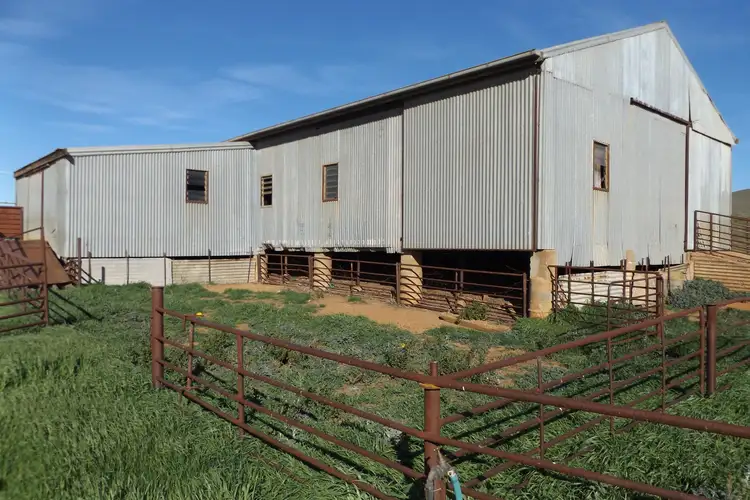 Seventh view of Homely rural property listing, Coothadie Road, Mannanarie SA 5422