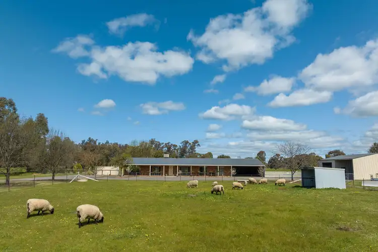 3858 Murchison-Violet Town Road, Violet Town VIC 3669