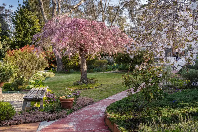 Second view of Homely house listing, 39 Flora Street, Wentworth Falls NSW 2782
