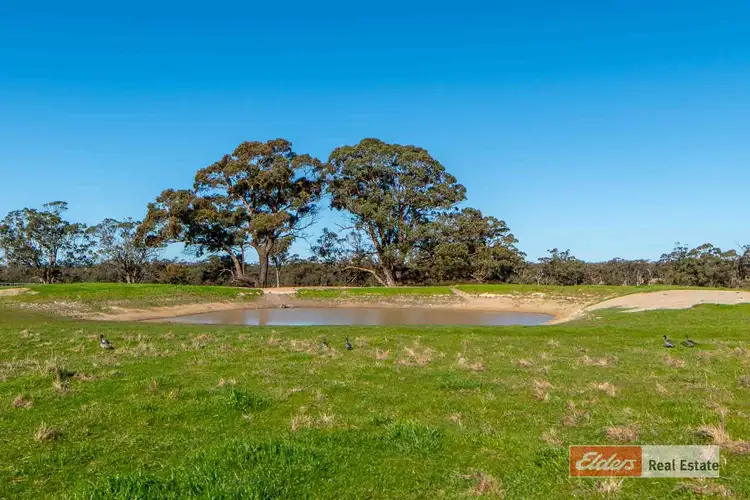 Seventh view of Homely rural property listing, Lot 636 MacLean Close, Mount Barker WA 6324