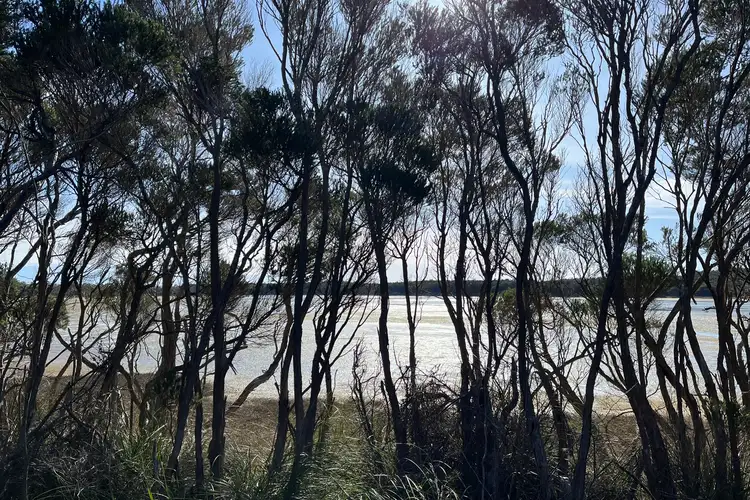 Fifth view of Homely land listing, LOT 3 North East River Road, Palana TAS 7255