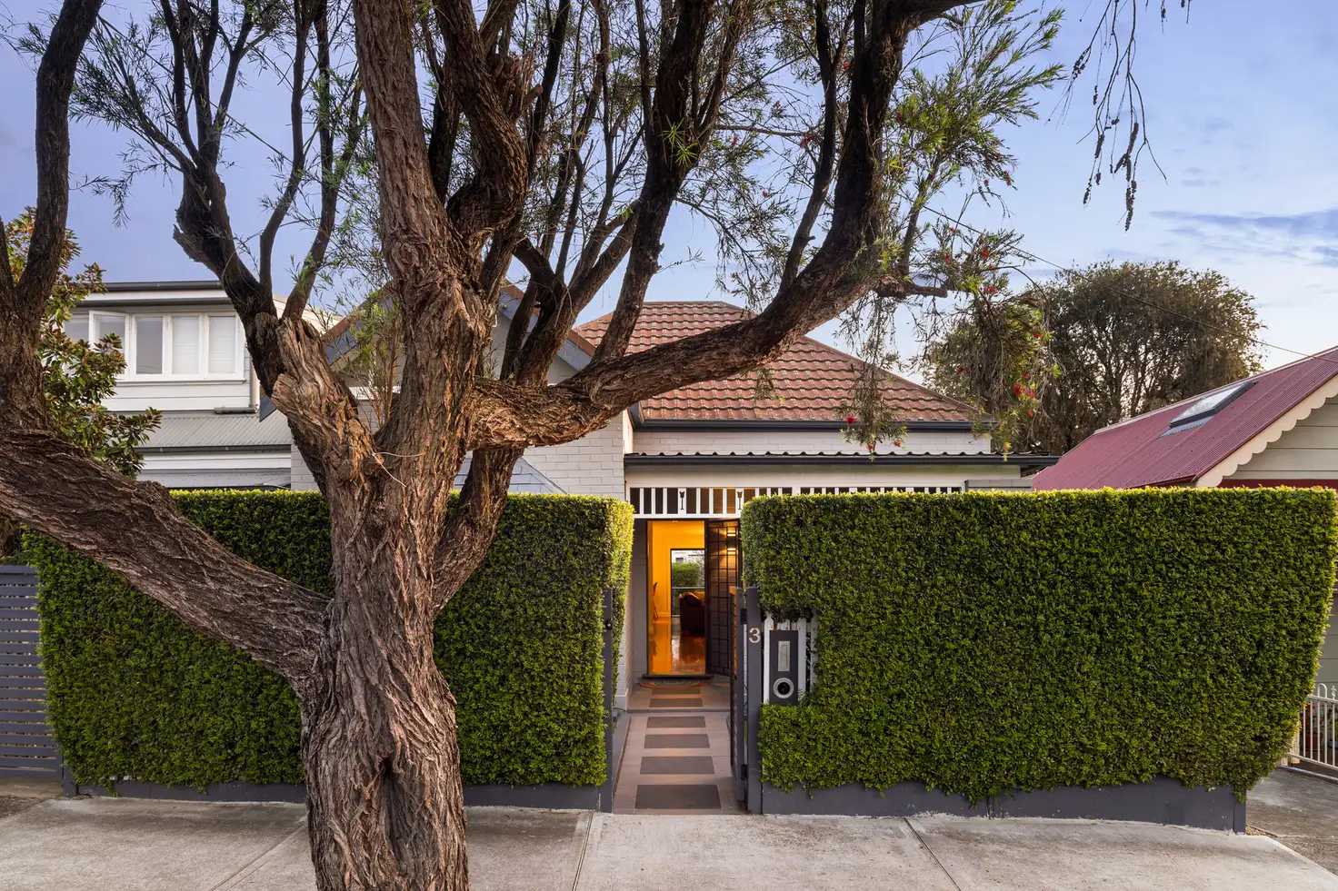 Main view of Homely house listing, 3 Ilka Street, Lilyfield NSW 2040